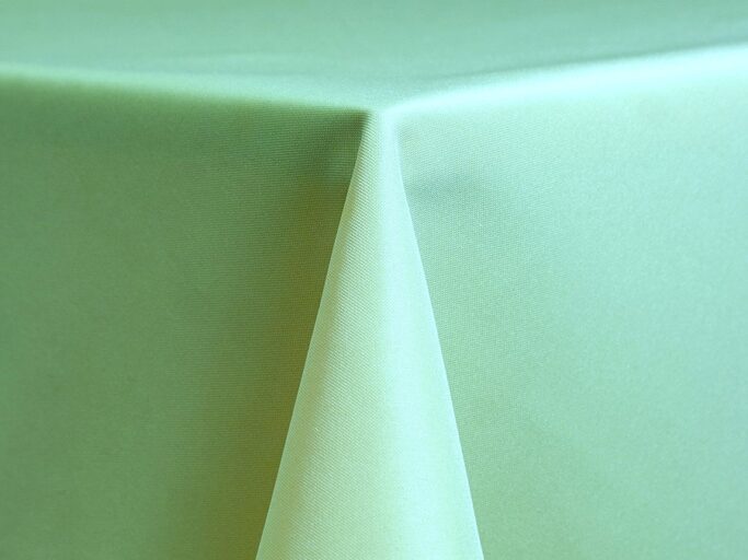 62 standard polyester mint