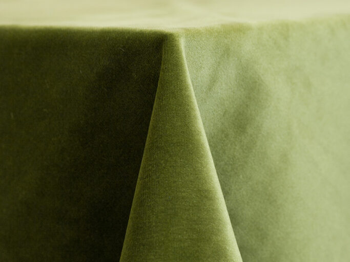 26 velvet leaf